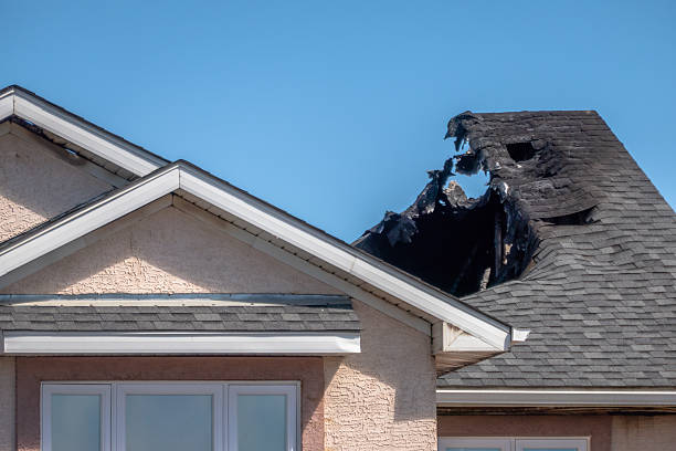 Top rated local Odor Removal specialists in Bristol, PA